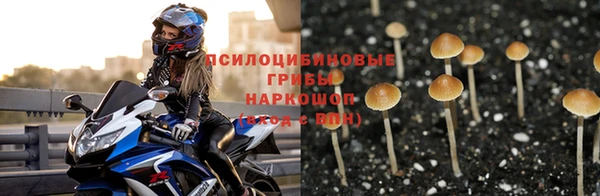 синтетический гашиш Новодвинск