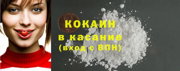соль ск Новозыбков