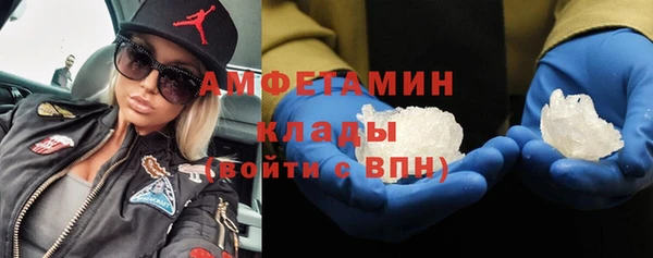 соль ск Новозыбков