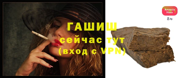 соль ск Новозыбков