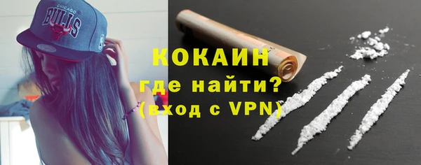 соль ск Новозыбков