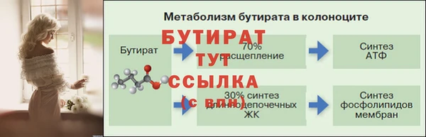 соль ск Новозыбков