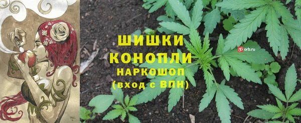 соль ск Новозыбков