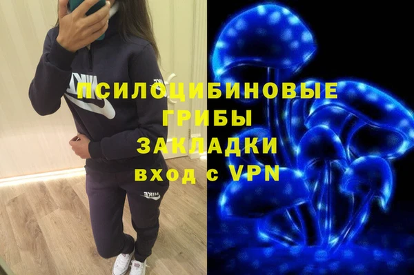 синтетический гашиш Новодвинск