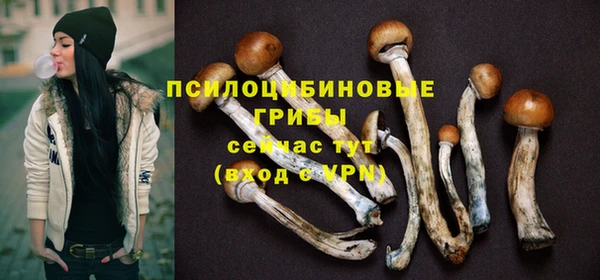 соль ск Новозыбков