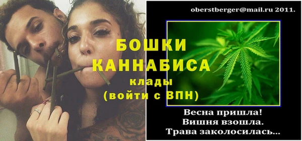 соль ск Новозыбков