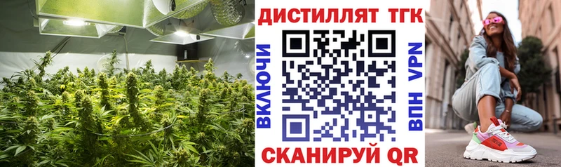 ТГК Wax  Тутаев 